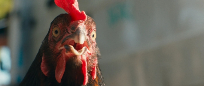 Hen (Greek language)